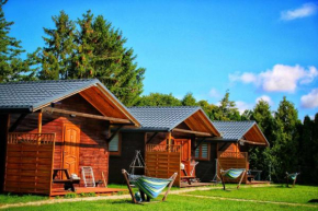 Domki letniskowe drewniane in Darlowo